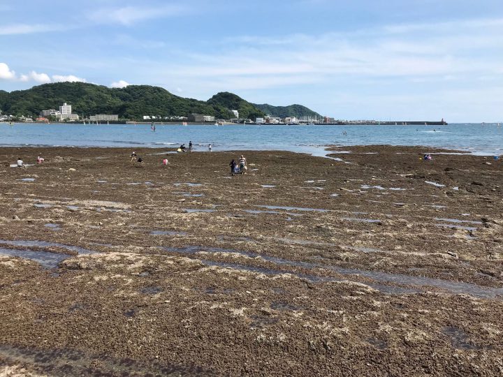 潮が引いたら磯遊び！浪子不動と葛が浜