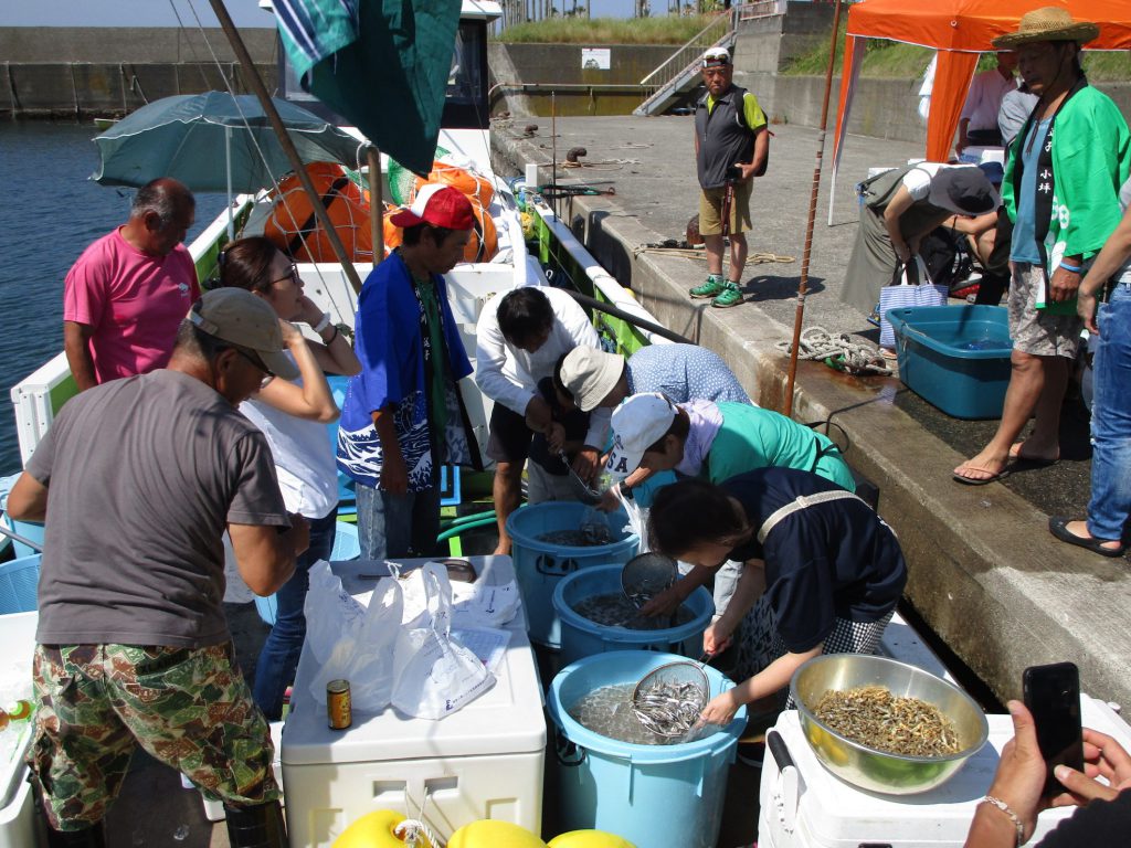 旬の活きた魚を食卓へ！逗子の漁港で船上市場開催